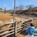 한우드림제2농장 이미지