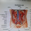 비염 완치방법. 이미지