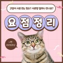 안양김준동물병원 이미지