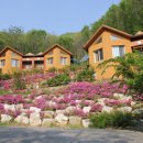 민주지산자연휴양림 이미지