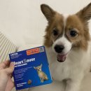 광주친절한동물약국 이미지