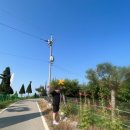 홍기농장 이미지