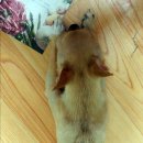 비산7동우체국 이미지