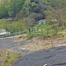 강하우체국 이미지