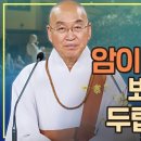 [법륜스님] 암이 재발할까봐 항상 두렵습니다 이미지