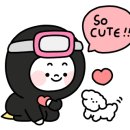 제주노을보리 이미지