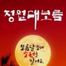 비연무예태권도 이미지