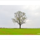 연두목장 이미지