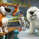 마이펫스토리 이미지