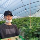 함박농장 이미지