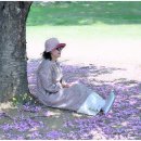 양평벚꽃하우스 이미지