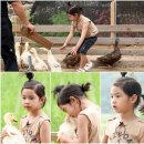 순수오리농장 이미지