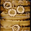 영랑초등학교 이미지