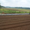 가족농원 이미지