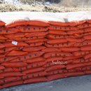 산책가는길 이미지