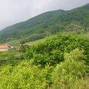 소백산청정한우 이미지