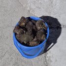 바다체험학교 현포 | 울릉도 현포숙소 해루질 체험 가능한 바다체험학교 펜션