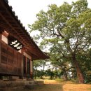 백호중기 - 포천시 호국로 1628 | 백호중기