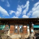 달맞이 흑두부 이미지