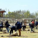 순천-64호 이미지