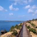 힐링 1코스 | 제주도 힐링 여행 1시간 코스 추천｜송악산 둘레길 후기