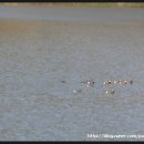 능애 낚시터 이미지