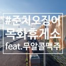 성산휴게소 - 12281 | 👍 제주 성산 준치오징어 맛집 목화휴게소 | 바다 보며 즐기는 준치 오징어 구이 후기