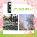 송산로387-7 이미지