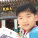 보리수하 이미지