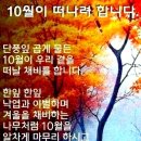 시월의 끝자락에서 문안 인사드립니다. 이미지