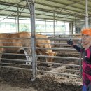 충만한우농장 이미지