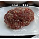 마장리 목장 이미지