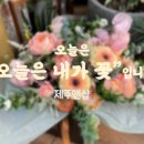 데이앤샵 이미지