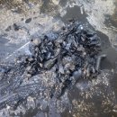 대구식당 이미지