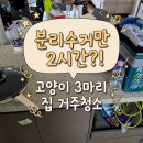 행복한날들 | 🏡🐱이사청소후기/입주청소후기/시흥배곧 한라3차 아파트-분리수거만 2시간 거주청소현장✨✨