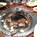 타잔노래연습장 이미지