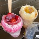 오사카 2박3일 조카들과 일정 2일차 : USJ유니버셜재팬/점심 해피니스카페/저녁 겐로쿠스시 센니치마에점