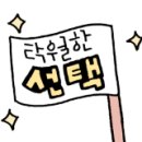 비니네꼬까