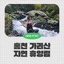 홍천 가리산 자연휴양림 방문 후기 (홍천 현지인 맛집, 튀김식당 비빔국수 후기)