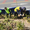 감천2동-16 이미지