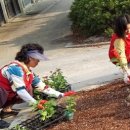 텃밭협동조합 이미지