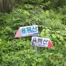 양지3교 이미지