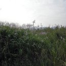 강촌공원 이미지