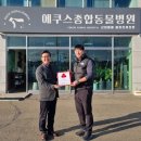 종합동물병원 이미지
