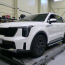 개미카센타 이미지