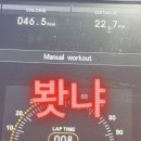 귀욤하개 이미지