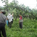 병용농장 이미지