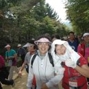 (주)히지노 이미지