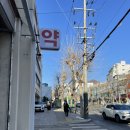 연희종로약국 | [서울 서대문구 연희동 약국] 연희종로약국 (동물약, 대형 마트형 약국)