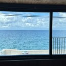 플로리다 대탄 이미지